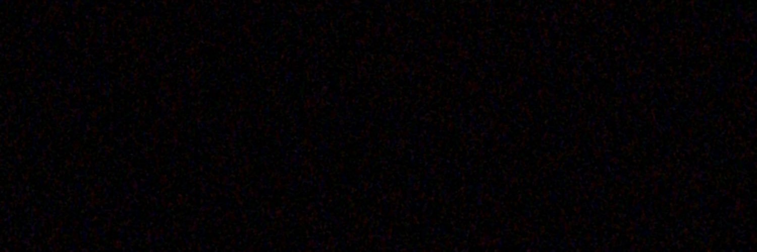 slalzle's profile banner image