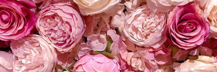 Chloe Haley banner