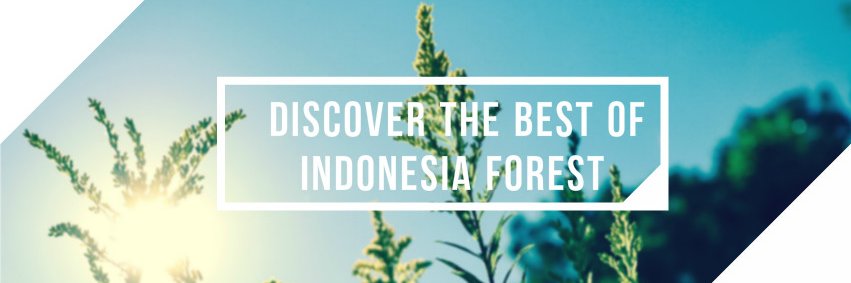 forestry_id's profile banner image