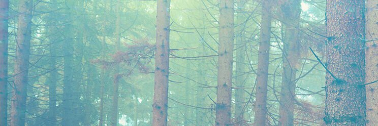bleighb's profile banner image