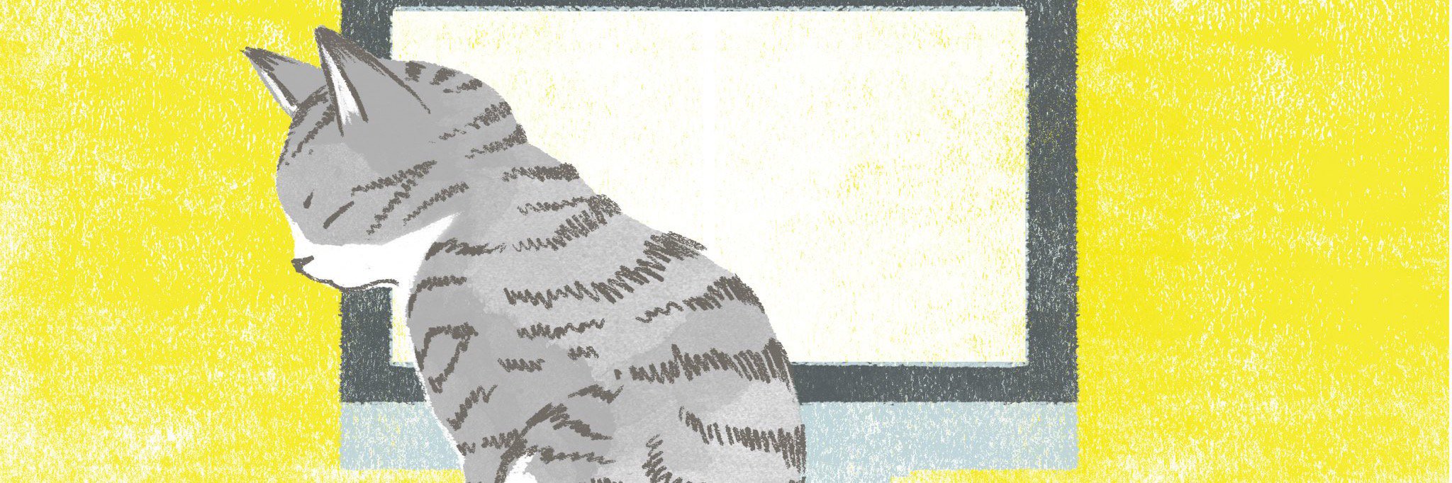 betterdream15's profile banner image