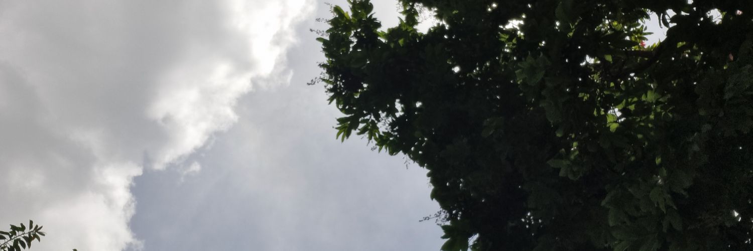 Rejin banner