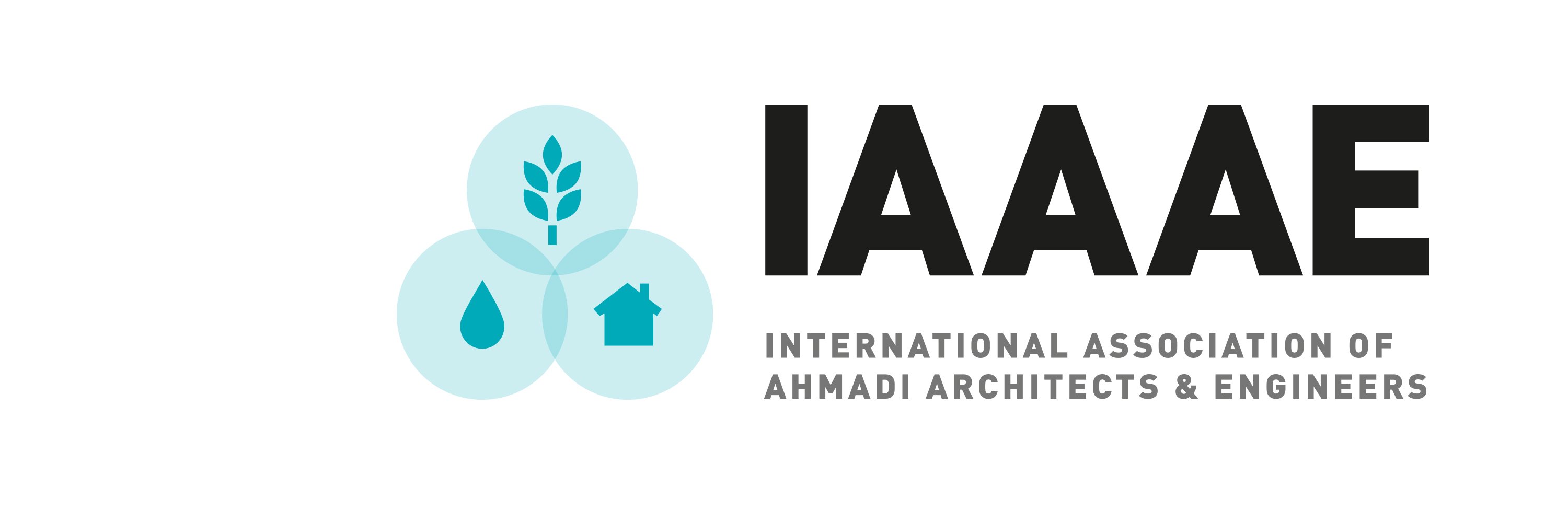 IAAAE banner