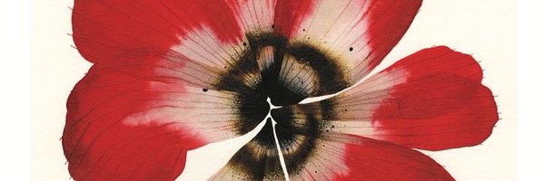 mmardo__ Profile Banner
