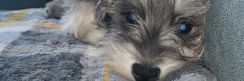jerrykerins's profile banner image