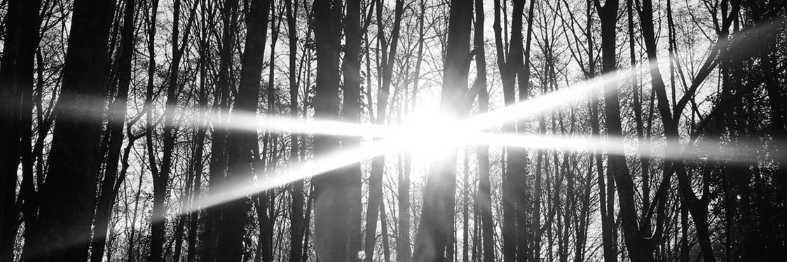 CanerISTI's profile banner image