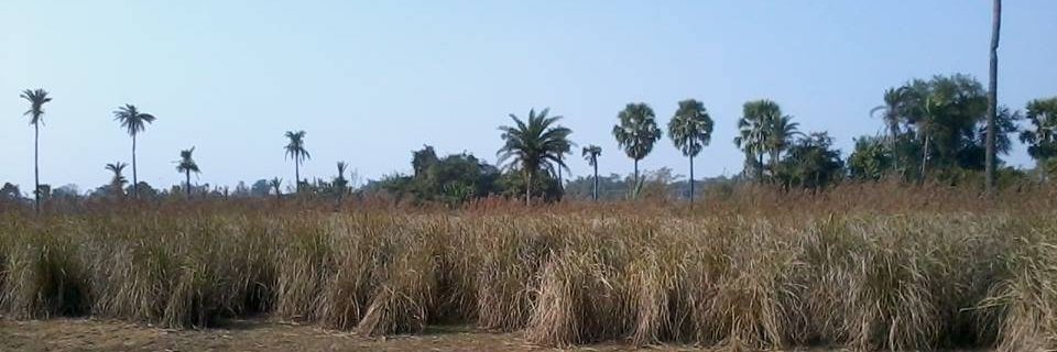 AmlenduC's profile banner image