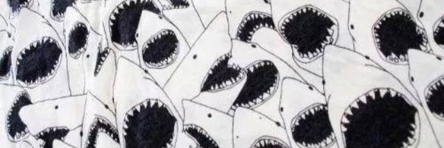 jademchugh__'s profile banner image
