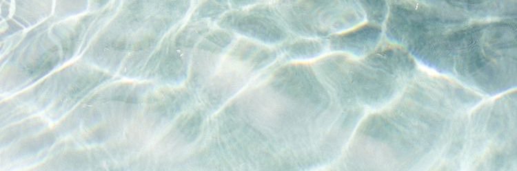 michelleescobio's profile banner image