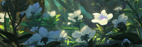 CoffeeSeed Profile Banner