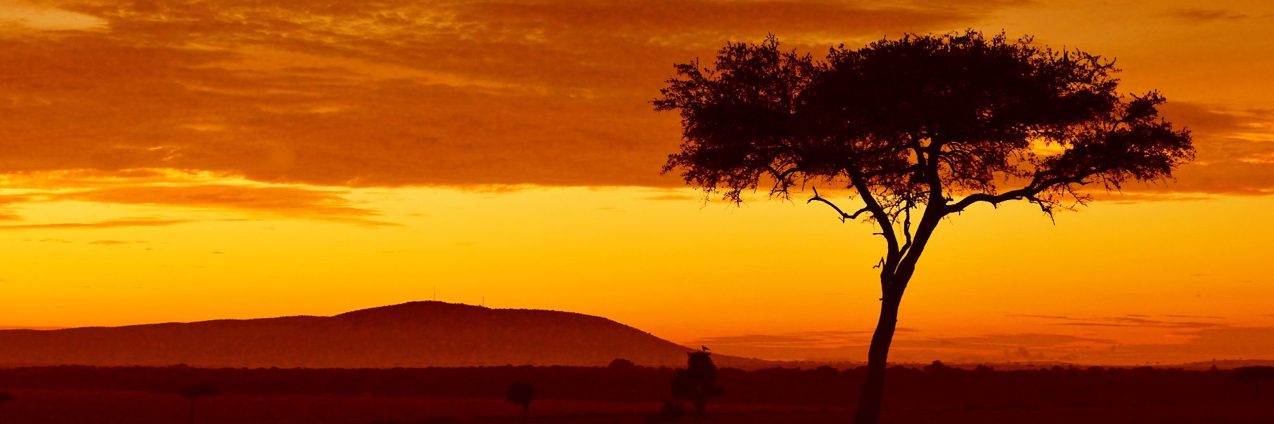 Magical Kenya UK banner