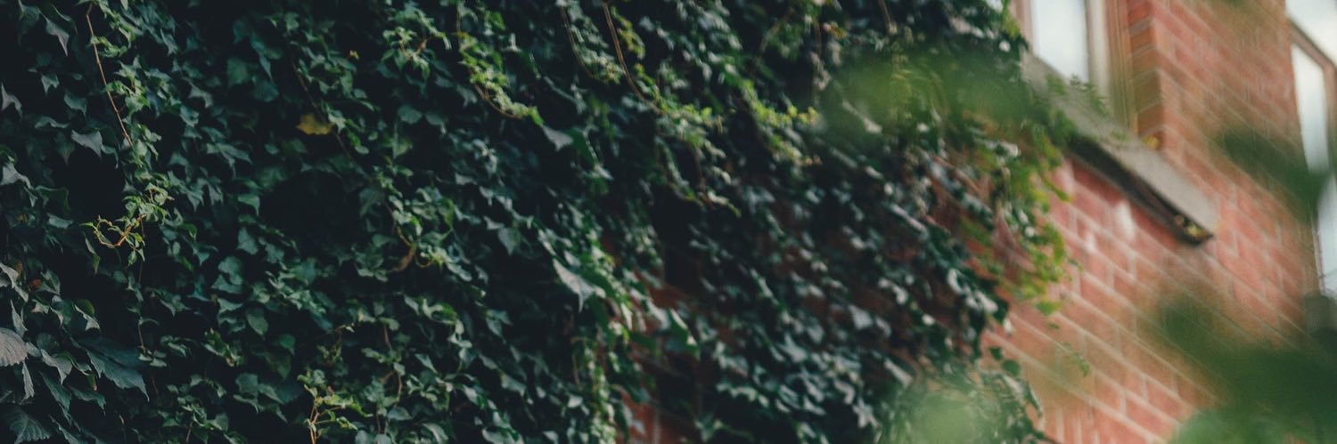 thauvette's profile banner image