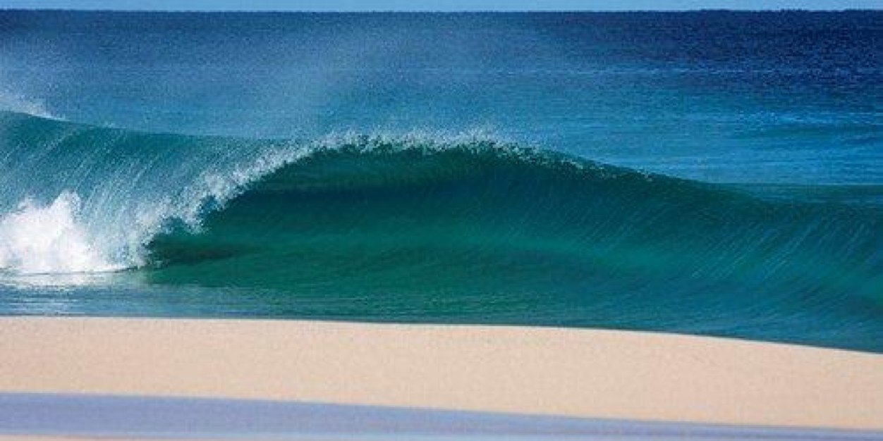 David Brookes banner