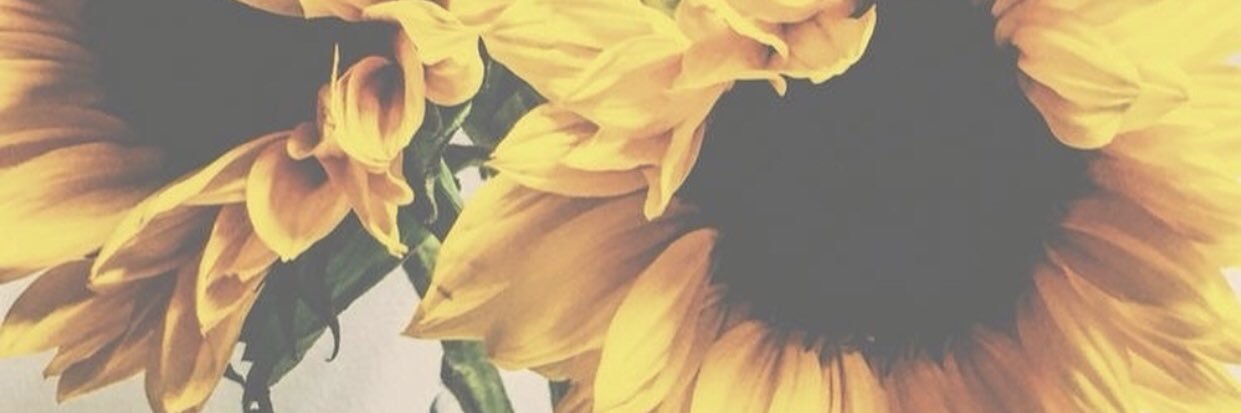 breemar's profile banner image