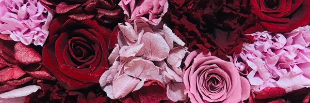 kakkyrabbit's profile banner image