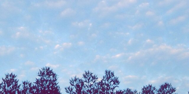ShadanAln's profile banner image