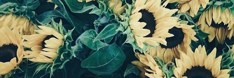 SUCCMEBREN's profile banner image