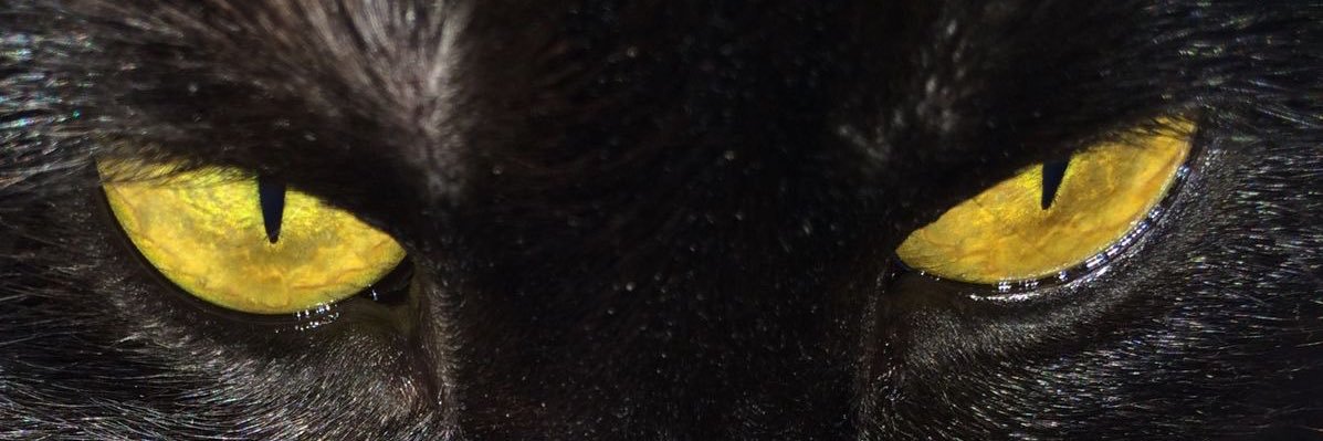 Sh_aldaham's profile banner image