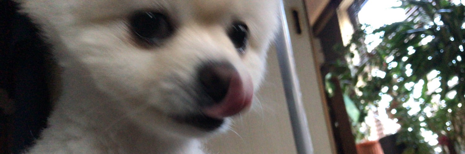Lemo116's profile banner image