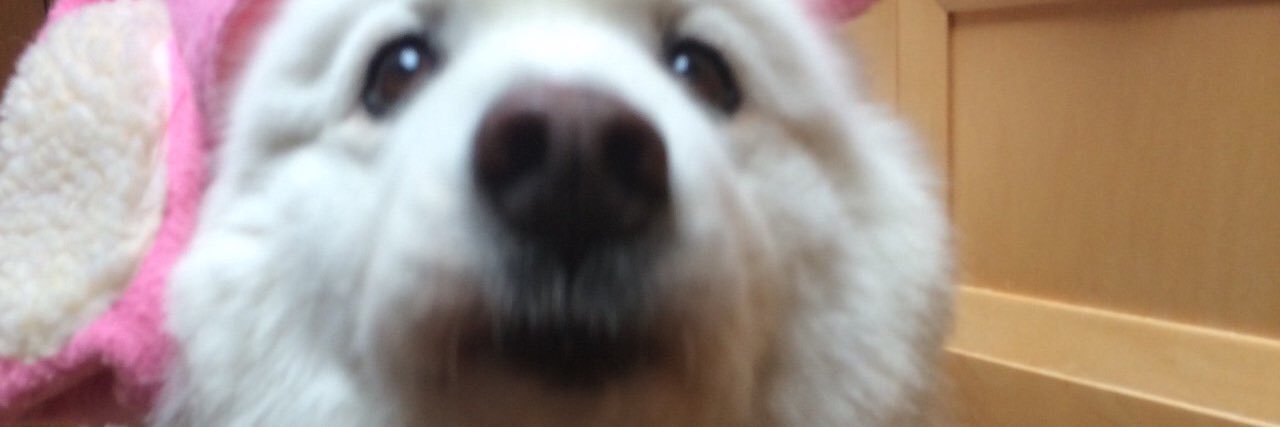 ccelinetsy's profile banner image