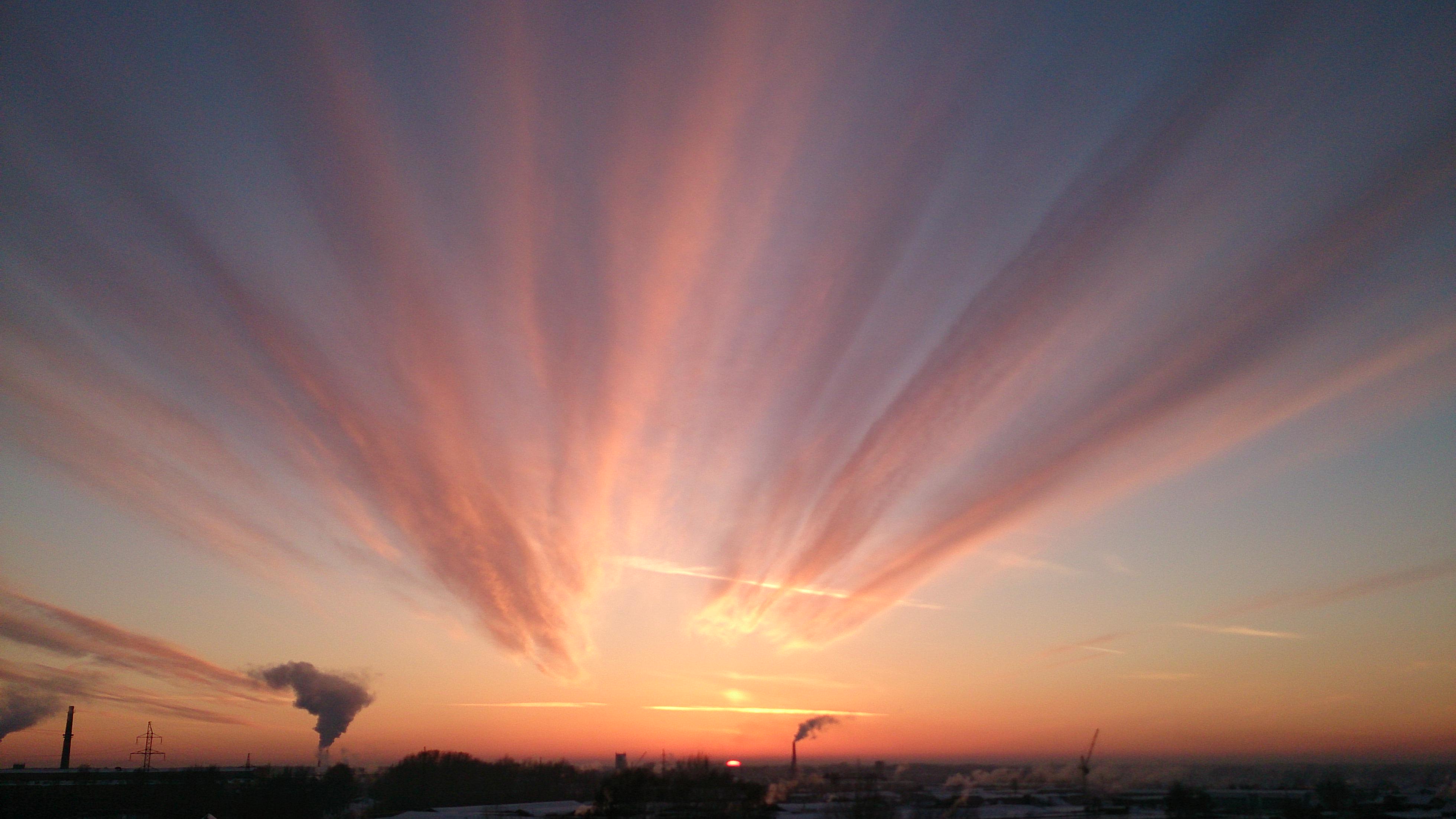 Goosey Maclean banner
