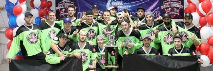 NiagaraWarpigs's profile banner image