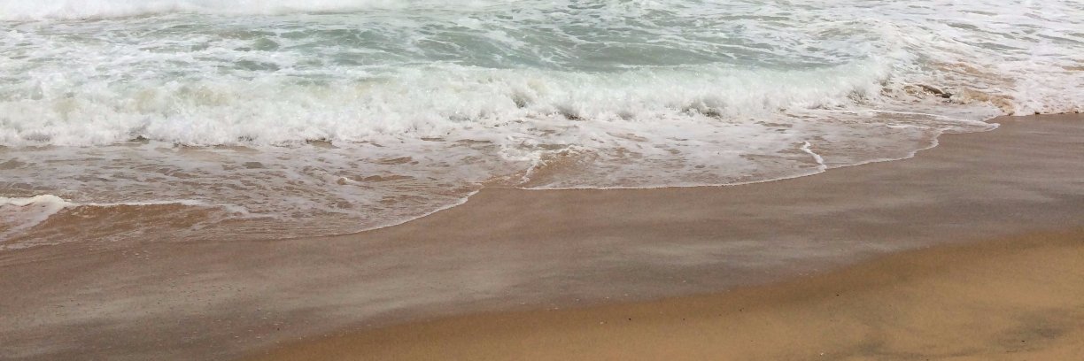 Helen 🧚‍♀️ banner