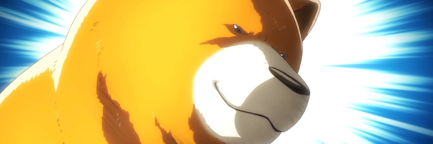 FumblingBear's profile banner image