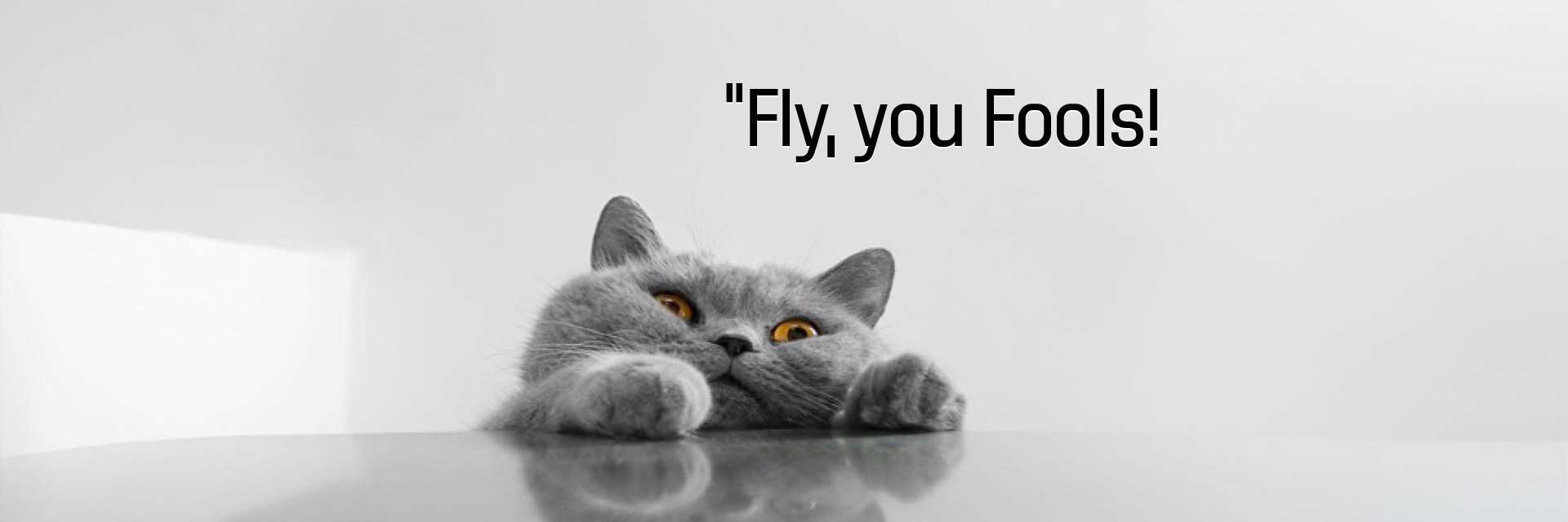 KittyInara's profile banner image