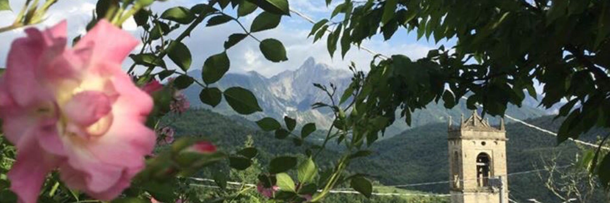 SuseBraithwaite's profile banner image