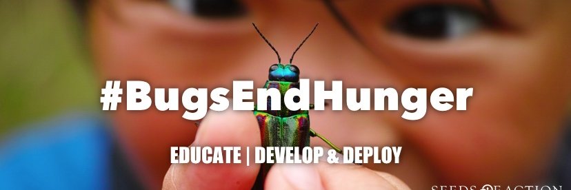 Seeds_of_Action's profile banner image