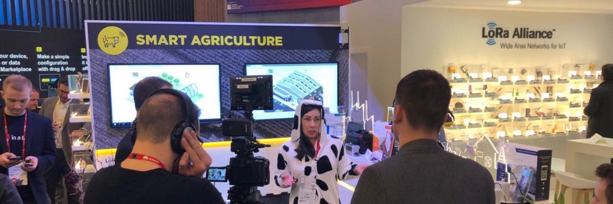 Tracy Hopkins banner