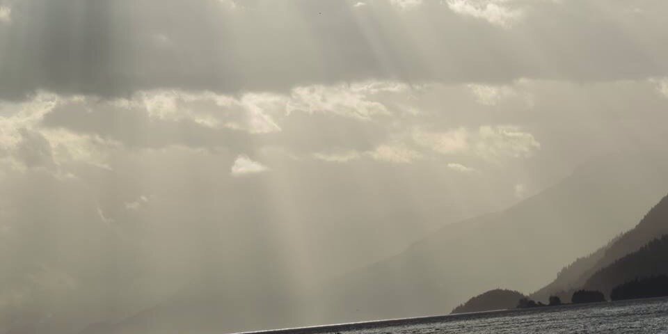 Logmc50's profile banner image