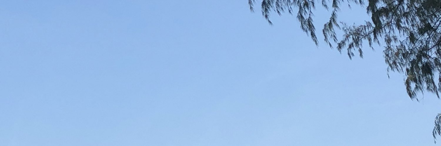 Fcharinrat's profile banner image