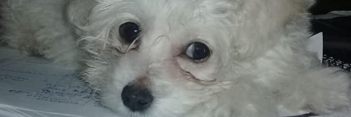 AgosBeatris's profile banner image