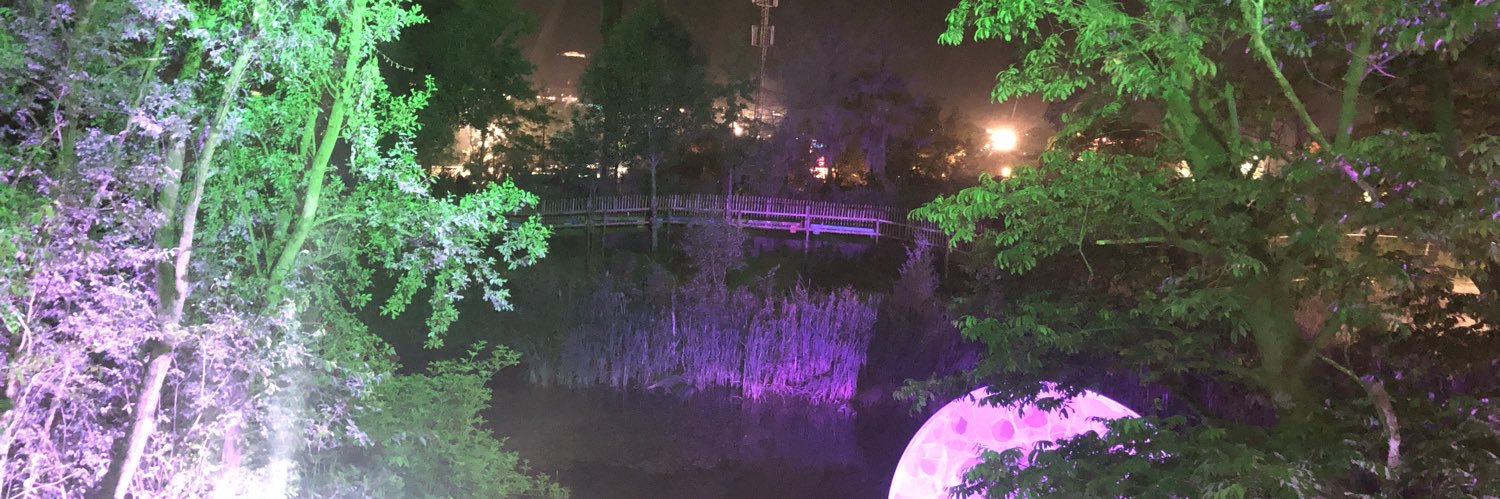 Callum Mitchell banner