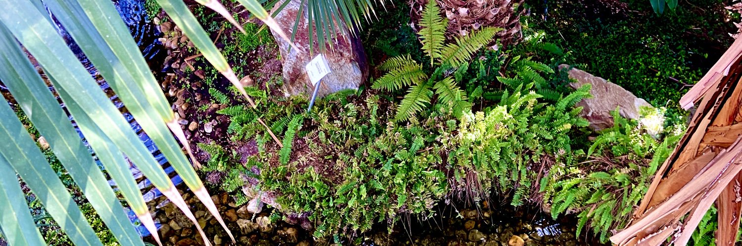 MÁC 🥰✌🏻🏳️‍🌈✌🏻🥰 banner