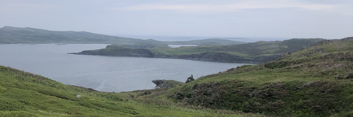 SammyKat🇨🇦NS (she/her) banner