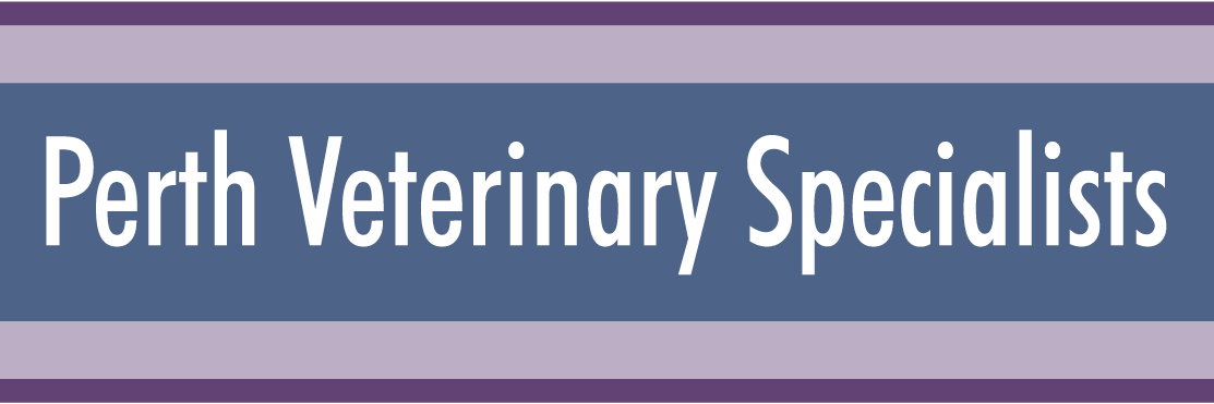 PerthVets's profile banner image