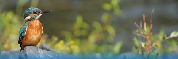 AllierCen Profile Banner