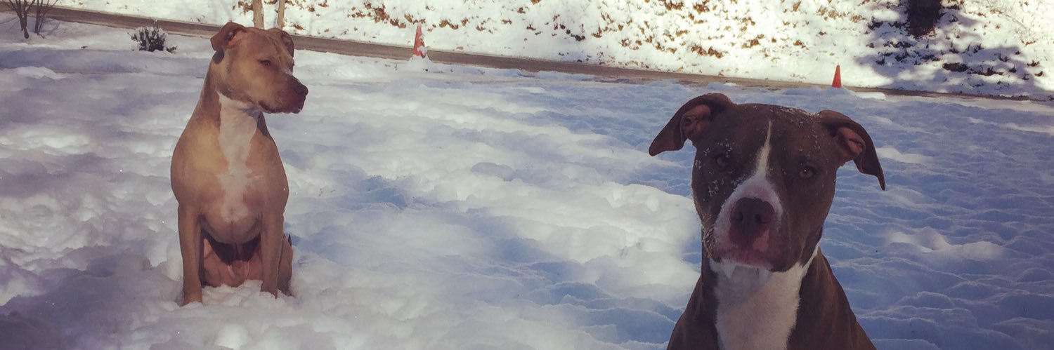 dee2poppin's profile banner image