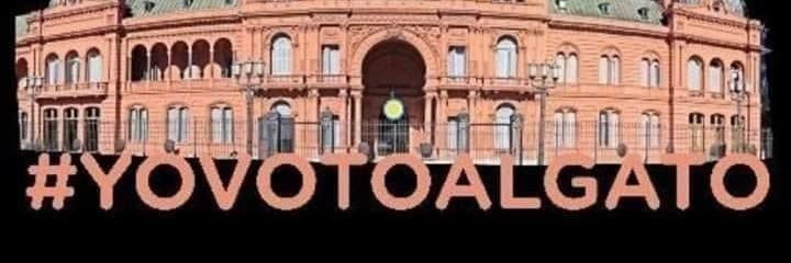 wpicatto's profile banner image