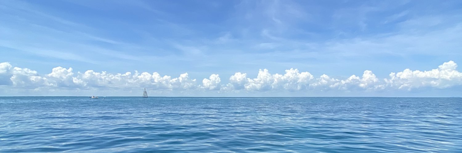 Alex banner