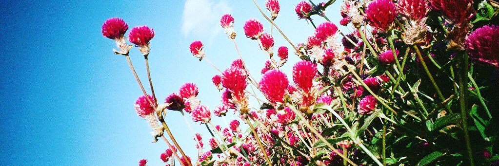 みさとさん banner