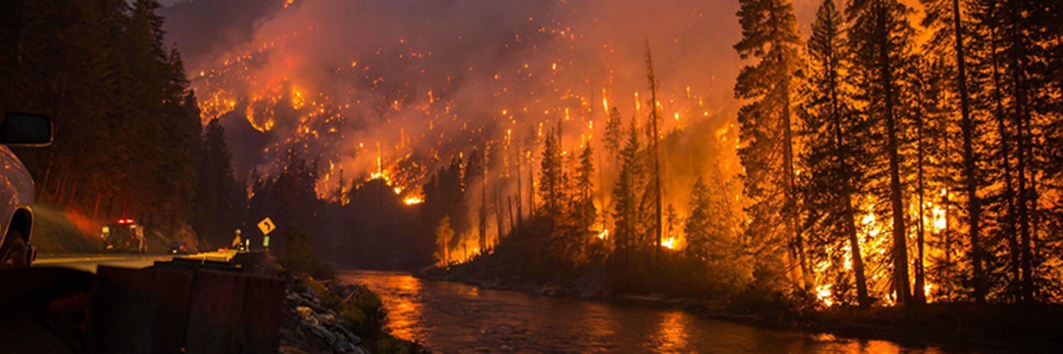 🌊 FreeGrass 🌊 banner