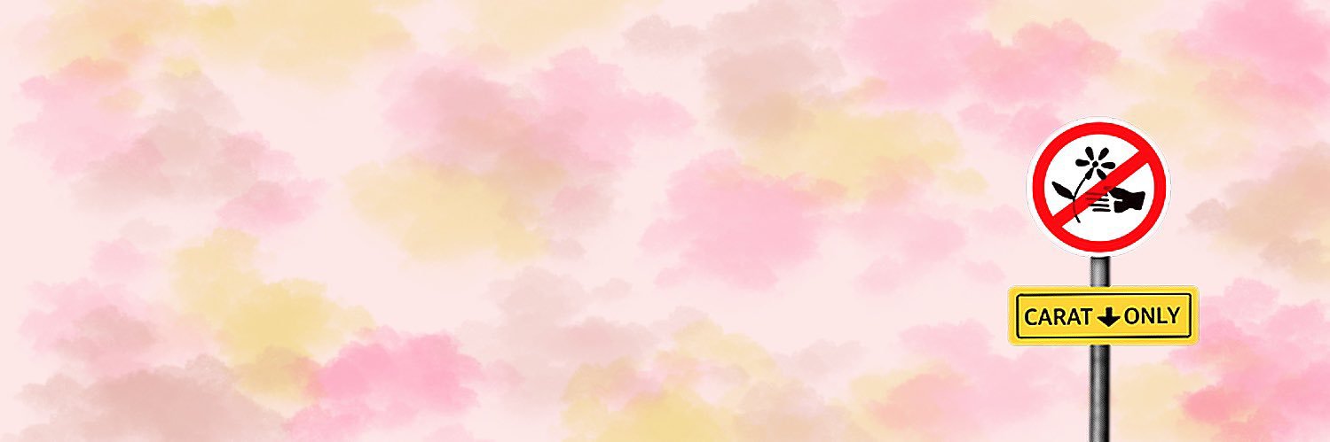 tina 🩵🩷💎 banner