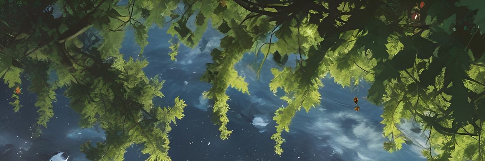 witchleaf's profile banner image
