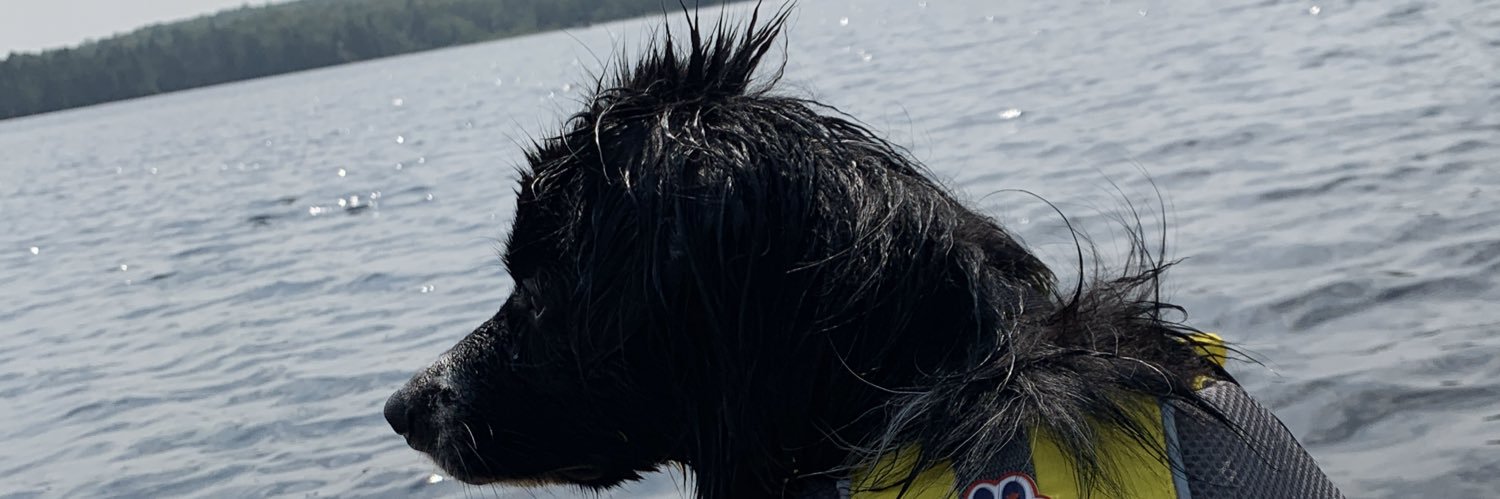 MatthewHay22's profile banner image