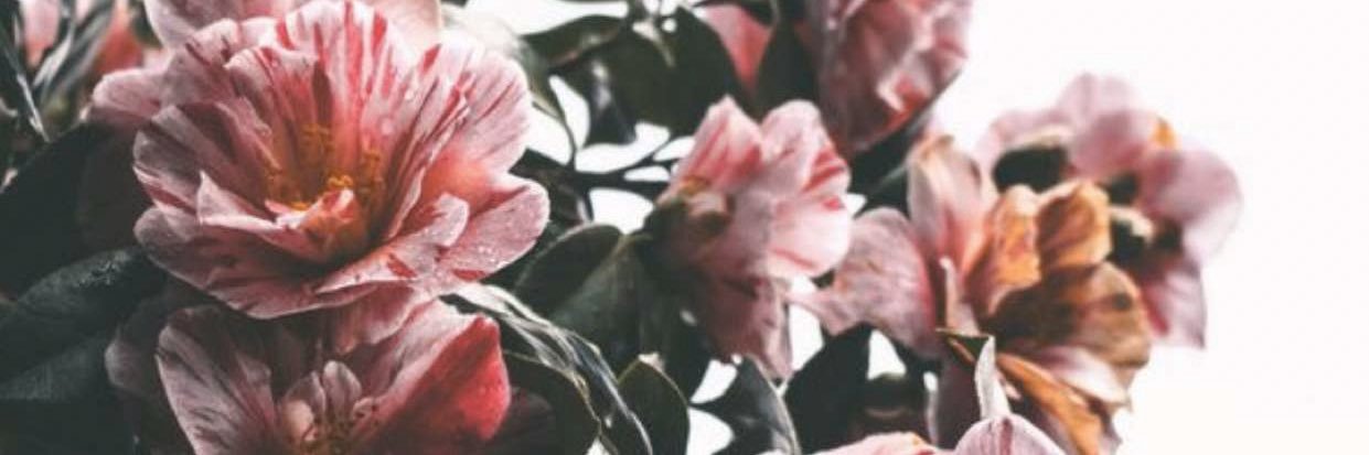 gho0dy's profile banner image