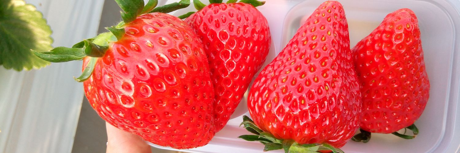 てつやま banner